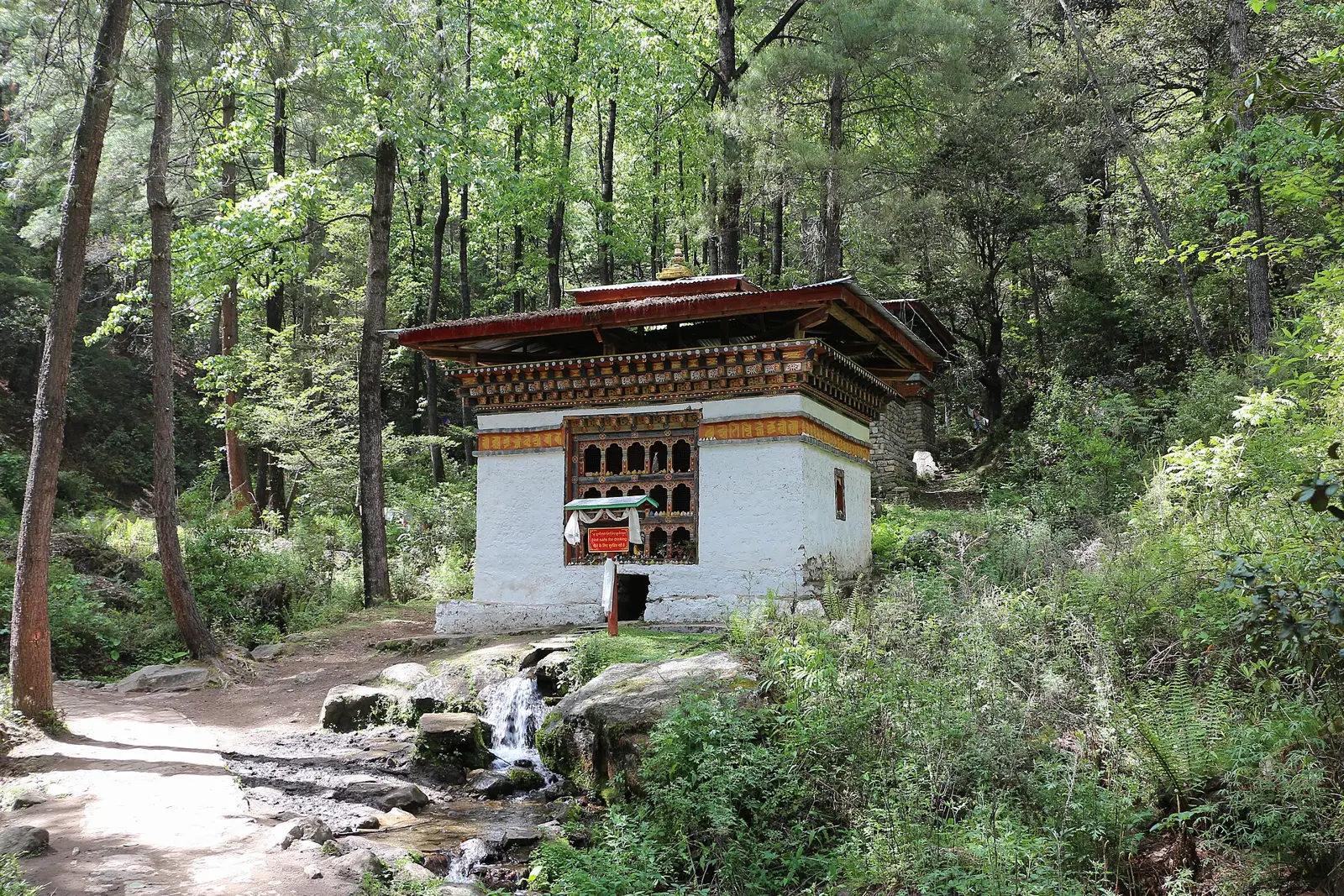 Hiking trail through forest and prayer flags near Paro